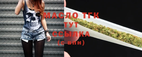 твердый Абаза