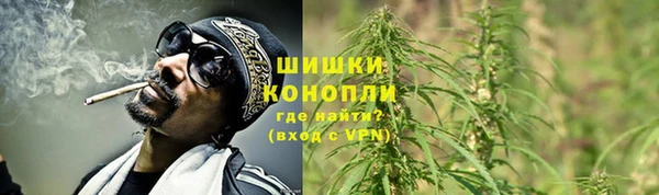 ПСИЛОЦИБИНОВЫЕ ГРИБЫ Медногорск