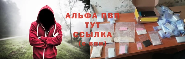 твердый Абаза
