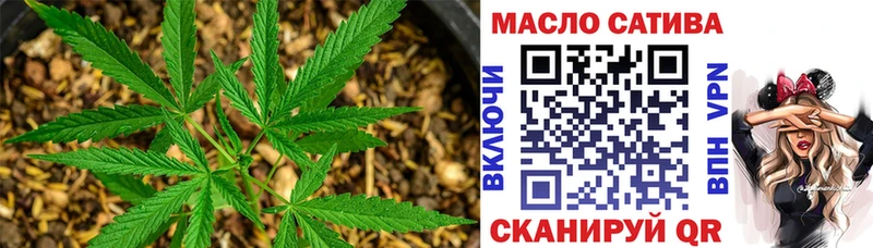 mega зеркало  наркотики  Елизаветинская  Дистиллят ТГК Wax 