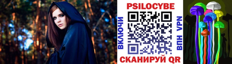 Псилоцибиновые грибы Cubensis  цены   Елизаветинская 